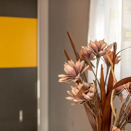 House Boris Loborika