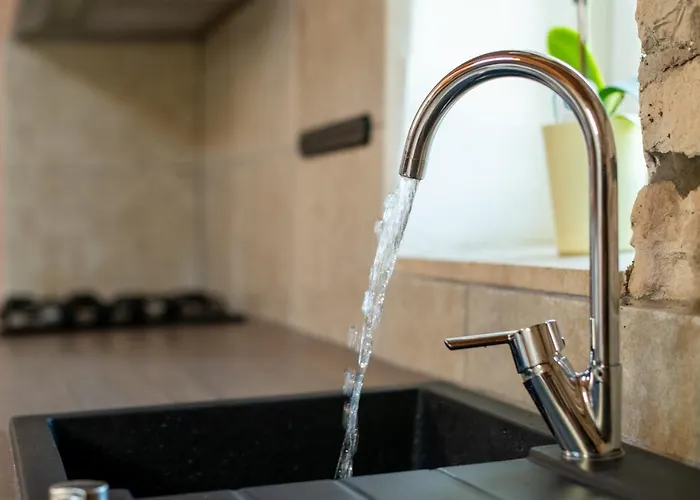 House Boris 아파트 Loborika