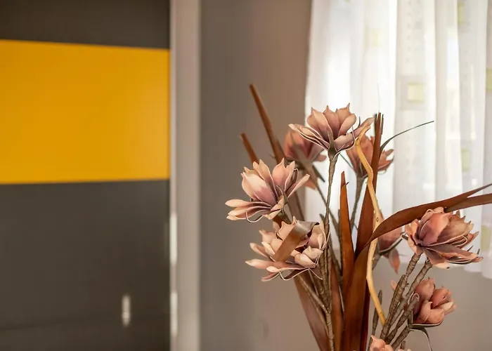 House Boris Loborika