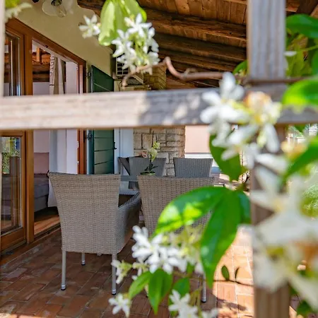 Appartement House Boris Loborika